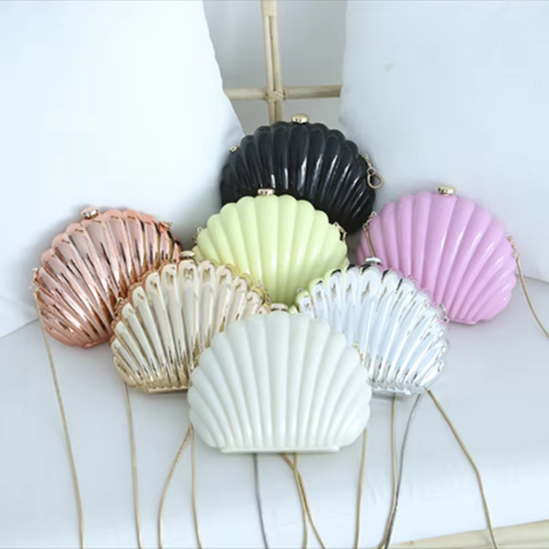 Lady Mini Shell Bag Acrylic Hi - Luxury Bags Cute review and price